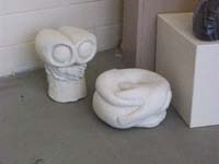 nightvision and cats